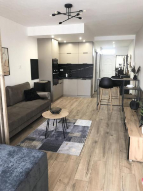 BMZ Centrum Flat